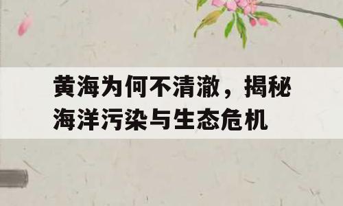 黄海为何不清澈，揭秘海洋污染与生态危机