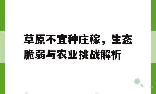 草原不宜种庄稼，生态脆弱与农业挑战解析