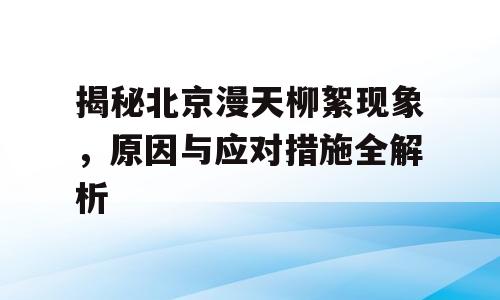 揭秘北京漫天柳絮现象，原因与应对措施全解析