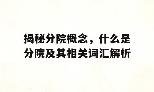 揭秘分院概念，什么是分院及其相关词汇解析