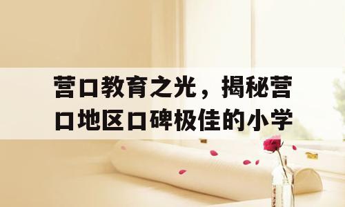 营口教育之光，揭秘营口地区口碑极佳的小学