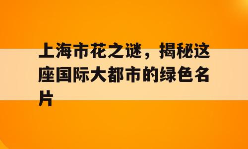 上海市花之谜，揭秘这座国际大都市的绿色名片