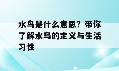水鸟是什么意思？带你了解水鸟的定义与生活习性