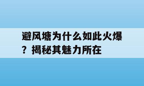 避风塘为什么如此火爆？揭秘其魅力所在