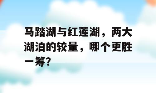 马踏湖与红莲湖，两大湖泊的较量，哪个更胜一筹？