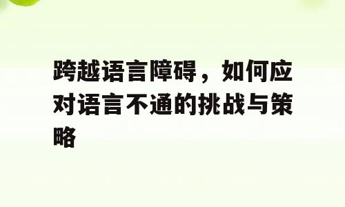 跨越语言障碍，如何应对语言不通的挑战与策略