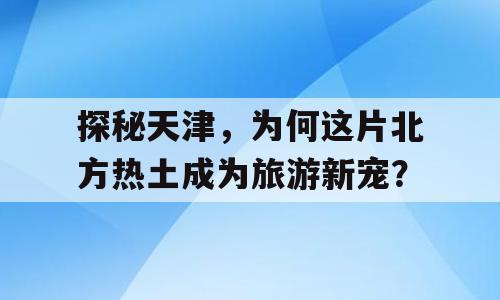 探秘天津，为何这片北方热土成为旅游新宠？