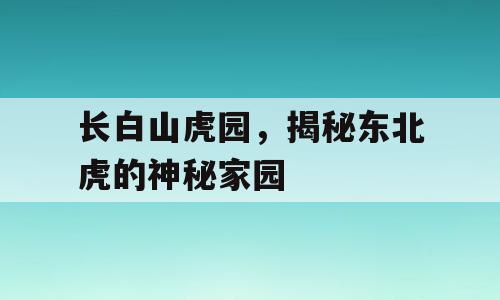 长白山虎园，揭秘东北虎的神秘家园
