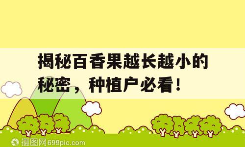 揭秘百香果越长越小的秘密，种植户必看！