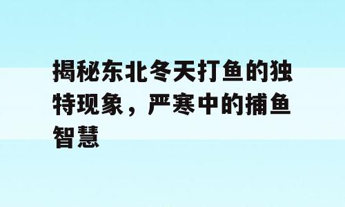 揭秘东北冬天打鱼的独特现象，严寒中的捕鱼智慧