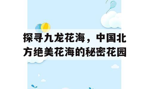 探寻九龙花海，中国北方绝美花海的秘密花园