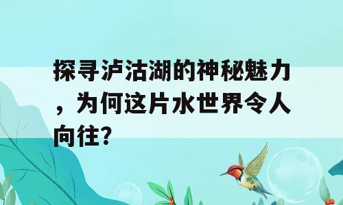 探寻泸沽湖的神秘魅力，为何这片水世界令人向往？