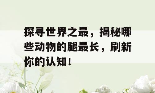 探寻世界之最，揭秘哪些动物的腿最长，刷新你的认知！