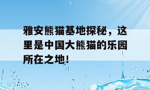 雅安熊猫基地探秘，这里是中国大熊猫的乐园所在之地！