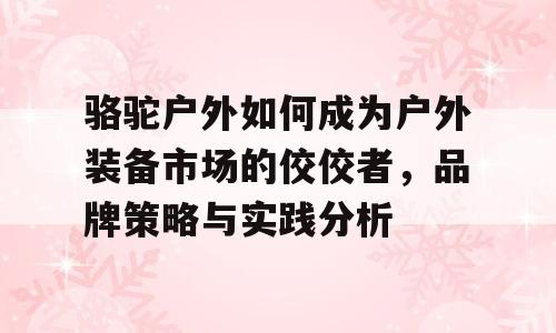 骆驼户外如何成为户外装备市场的佼佼者，品牌策略与实践分析