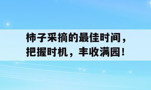 柿子采摘的最佳时间，把握时机，丰收满园！