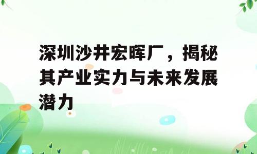 深圳沙井宏晖厂，揭秘其产业实力与未来发展潜力