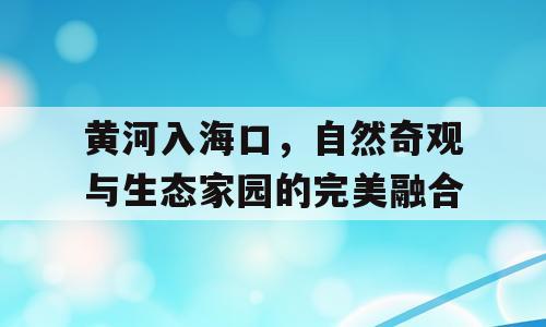 黄河入海口，自然奇观与生态家园的完美融合