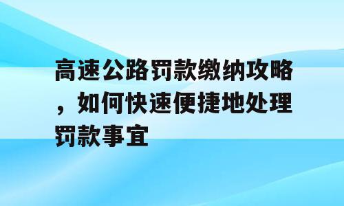 高速公路罚款缴纳攻略，如何快速便捷地处理罚款事宜