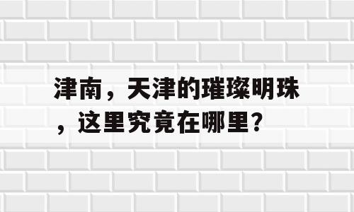 津南，天津的璀璨明珠，这里究竟在哪里？