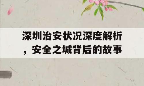 深圳治安状况深度解析，安全之城背后的故事