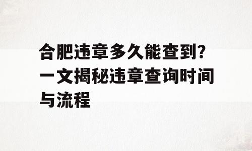 合肥违章多久能查到？一文揭秘违章查询时间与流程