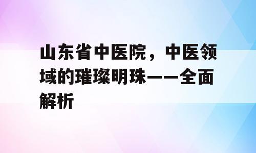 山东省中医院，中医领域的璀璨明珠——全面解析
