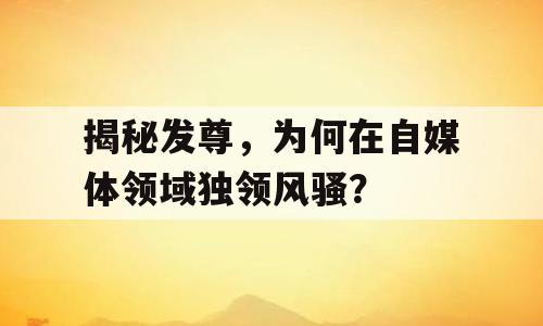揭秘发尊，为何在自媒体领域独领风骚？