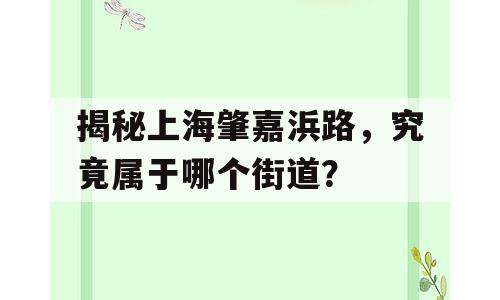 揭秘上海肇嘉浜路，究竟属于哪个街道？