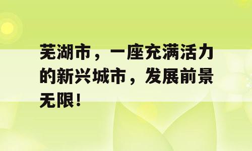 芜湖市，一座充满活力的新兴城市，发展前景无限！