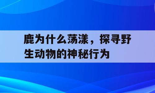 鹿为什么荡漾，探寻野生动物的神秘行为