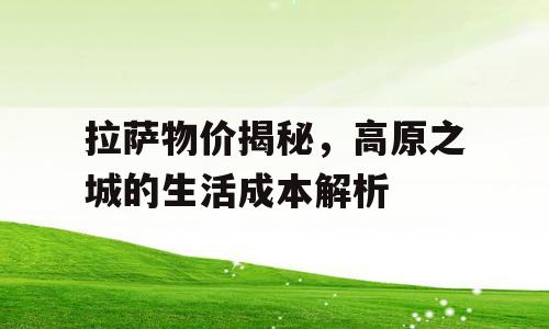 拉萨物价揭秘，高原之城的生活成本解析