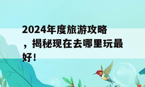 2024年度旅游攻略，揭秘现在去哪里玩最好！