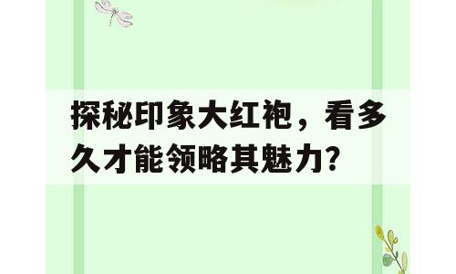 探秘印象大红袍，看多久才能领略其魅力？
