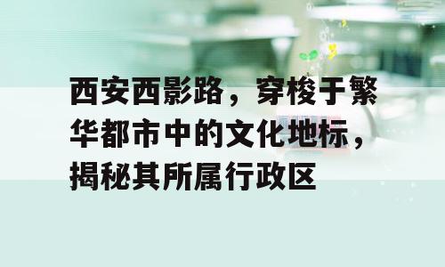 西安西影路，穿梭于繁华都市中的文化地标，揭秘其所属行政区