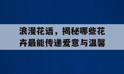 浪漫花语，揭秘哪些花卉最能传递爱意与温馨