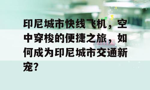 印尼城市快线飞机，空中穿梭的便捷之旅，如何成为印尼城市交通新宠？