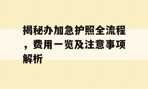揭秘办加急护照全流程，费用一览及注意事项解析