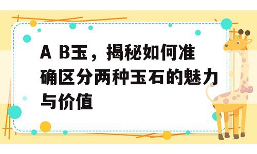 A B玉，揭秘如何准确区分两种玉石的魅力与价值
