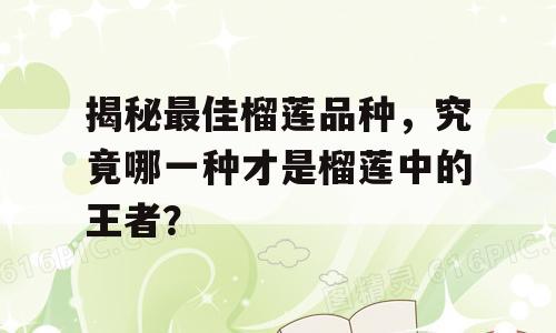 揭秘最佳榴莲品种，究竟哪一种才是榴莲中的王者？