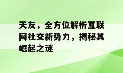天友，全方位解析互联网社交新势力，揭秘其崛起之谜
