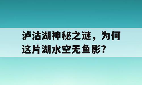 泸沽湖神秘之谜，为何这片湖水空无鱼影？