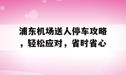 浦东机场送人停车攻略，轻松应对，省时省心