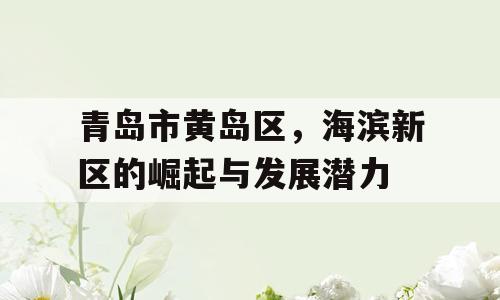 青岛市黄岛区，海滨新区的崛起与发展潜力