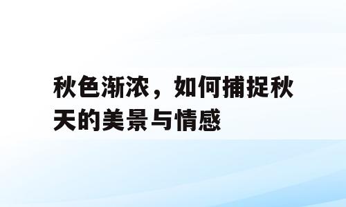秋色渐浓，如何捕捉秋天的美景与情感