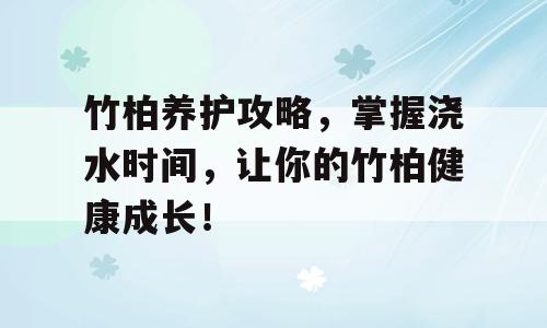 竹柏养护攻略，掌握浇水时间，让你的竹柏健康成长！