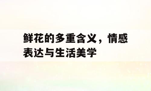 鲜花的多重含义，情感表达与生活美学