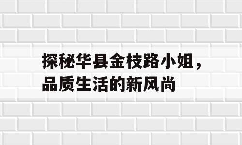 探秘华县金枝路小姐，品质生活的新风尚