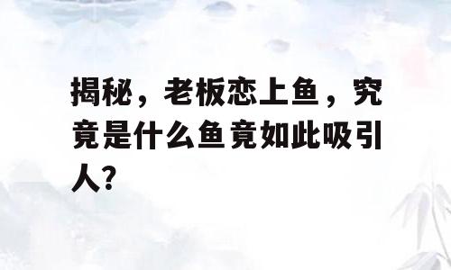 揭秘，老板恋上鱼，究竟是什么鱼竟如此吸引人？
