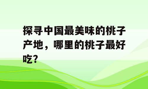 探寻中国最美味的桃子产地，哪里的桃子最好吃？